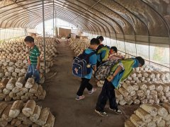  正如三岔河心小学校长代均所说